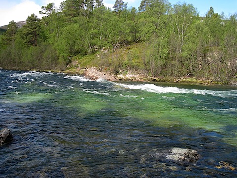 Abisko Juni 2009 dag 3 - 09.jpg